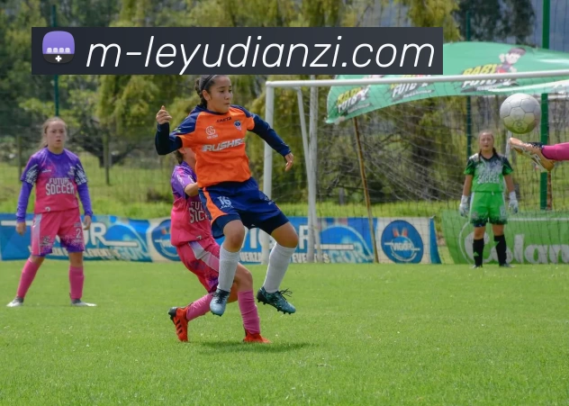 乐鱼电子平台生态图